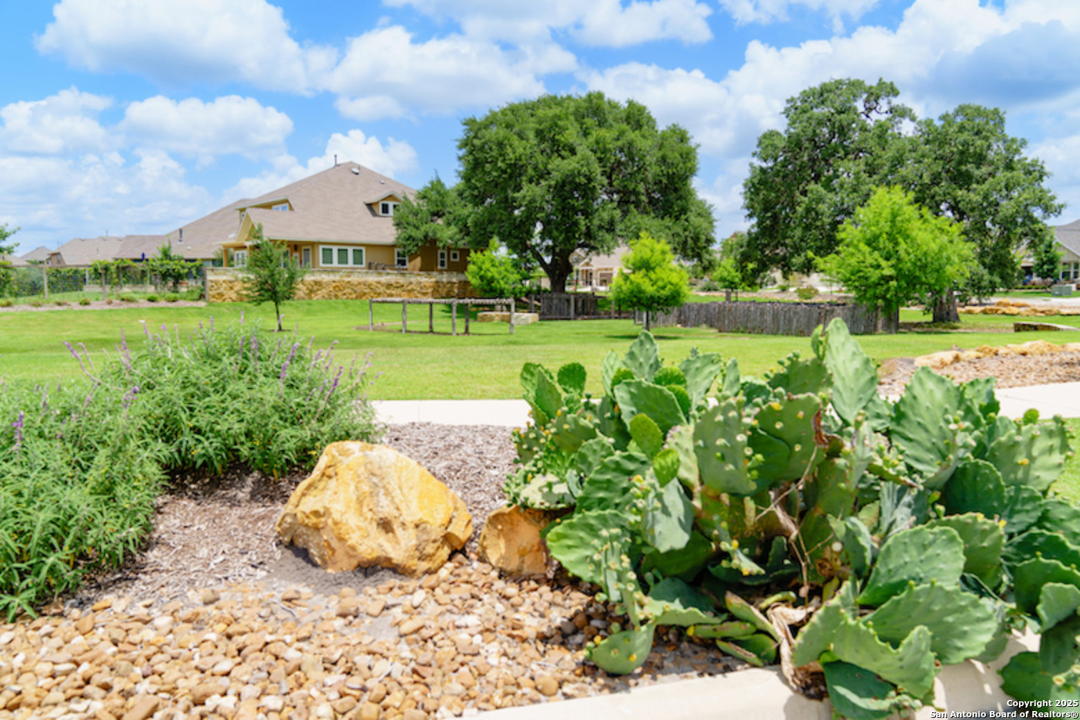 8123 Wellstone Schertz, TX 78154 - Photo 16 of 16 a view of a park with large trees