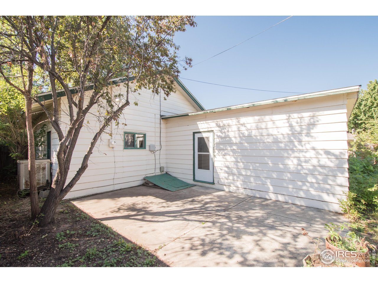 104 Oak Street Windsor, CO 80550 - Photo 24 of 31 Back Patio