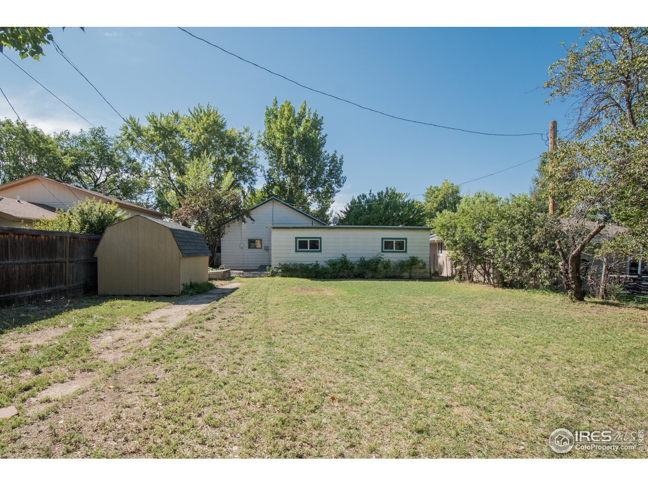 104 Oak Street Windsor, CO 80550 - Photo 26 of 31 Large Backyard