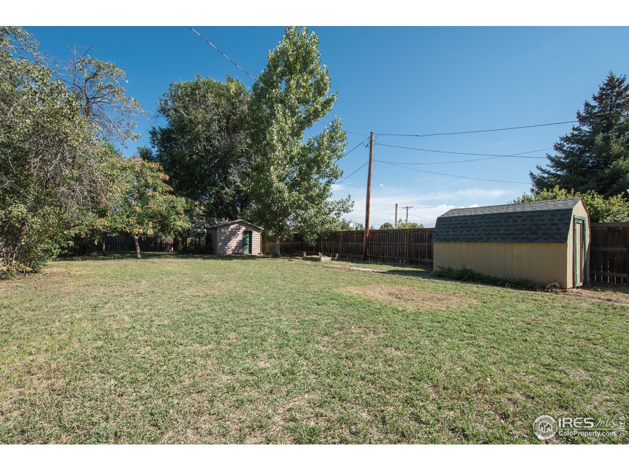 104 Oak Street Windsor, CO 80550 - Photo 29 of 31