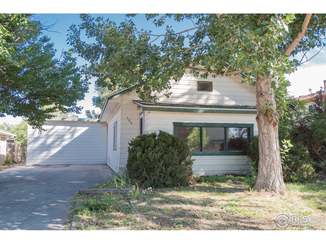 104 Oak Street Windsor, CO 80550 - Photo 3 of 31 Front Yard