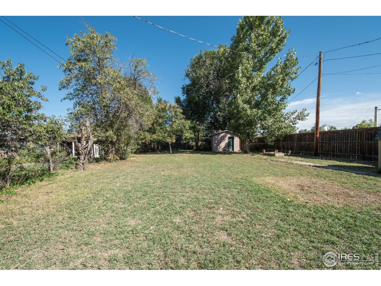 104 Oak Street Windsor, CO 80550 - Photo 31 of 31