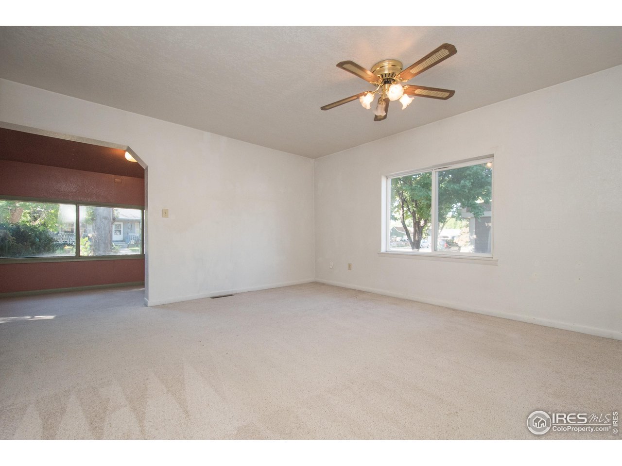 104 Oak Street Windsor, CO 80550 - Photo 6 of 31 Living Room