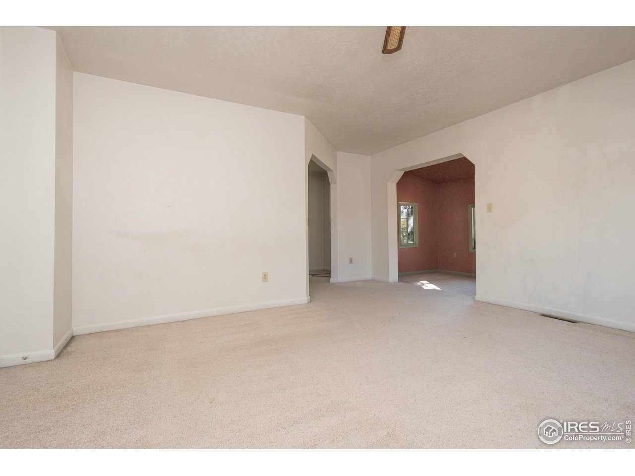 104 Oak Street Windsor, CO 80550 - Photo 7 of 31 Living Room