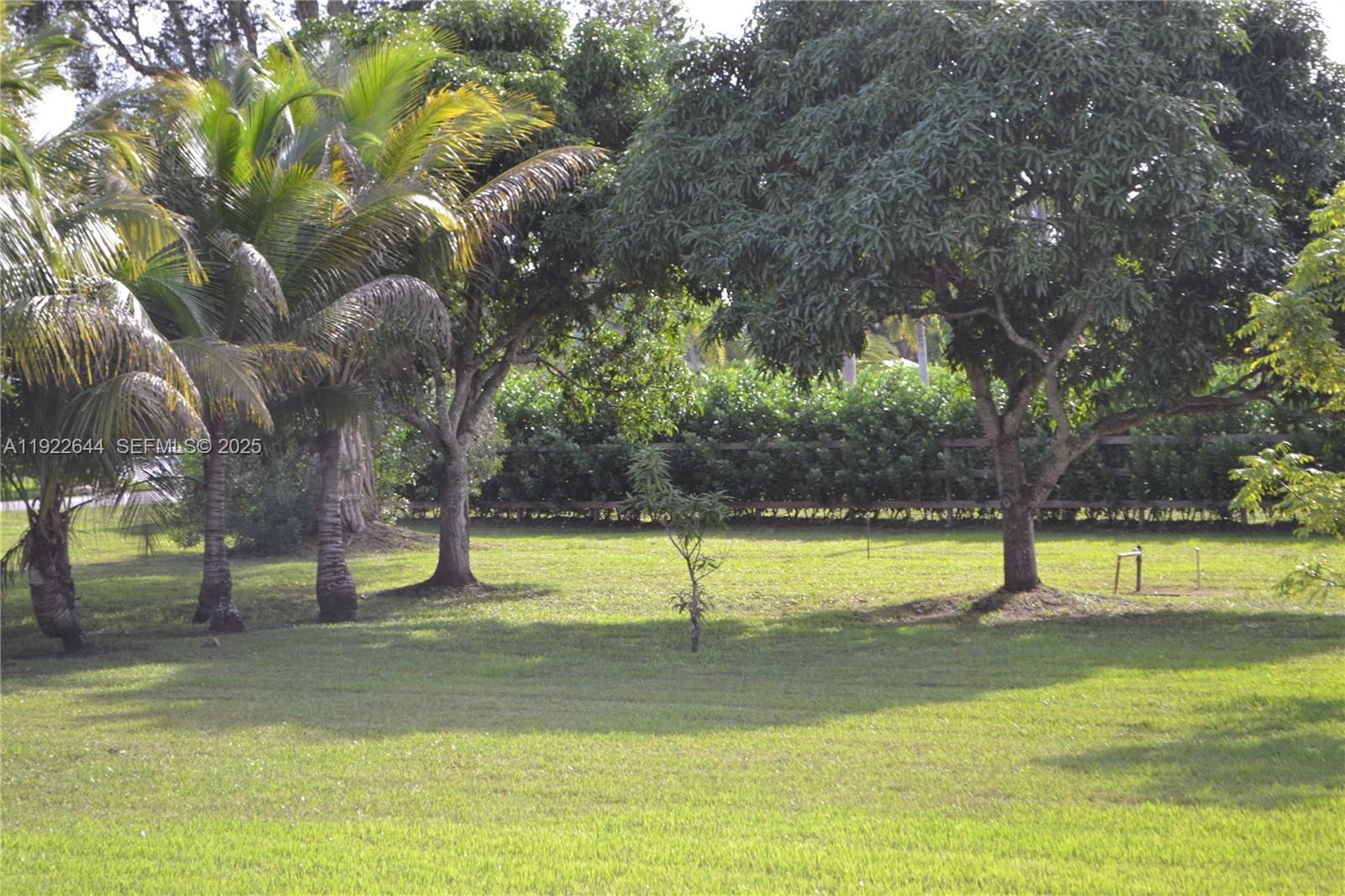 5425 Southwest 190th Avenue Southwest Ranches, FL 33332 - Photo 44 of 56 a view of yard with swimming pool