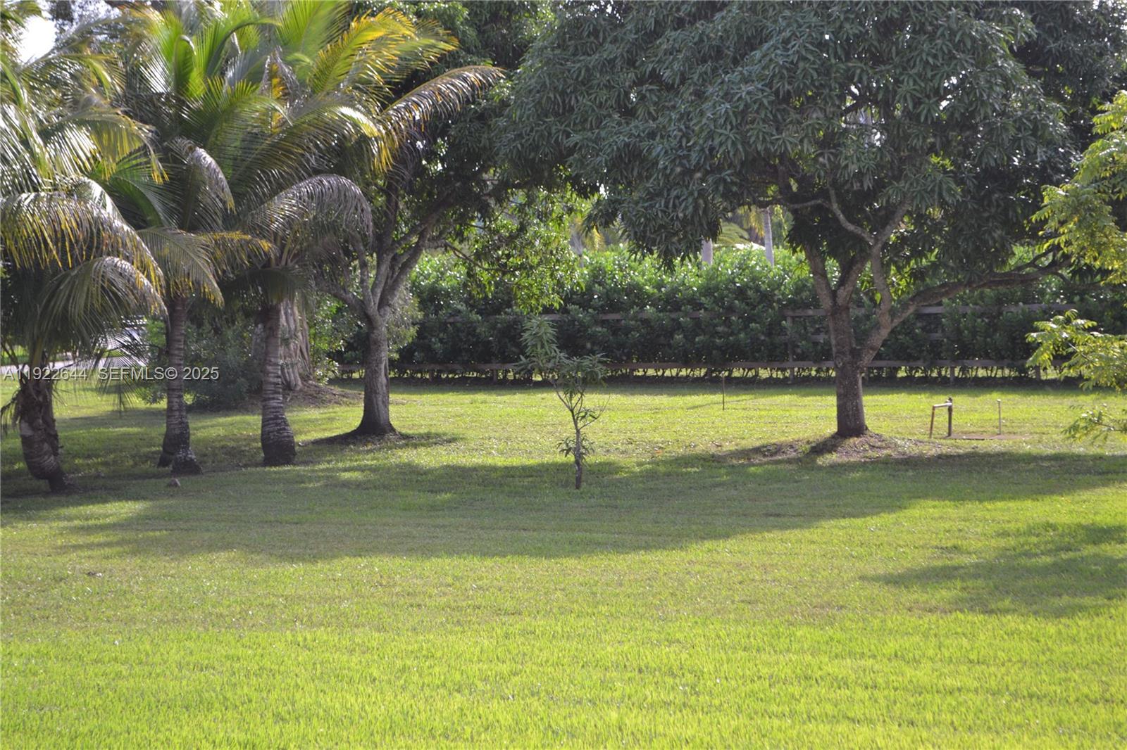 5425 Southwest 190th Avenue Southwest Ranches, FL 33332 - Photo 50 of 56 a view of a yard with swimming pool