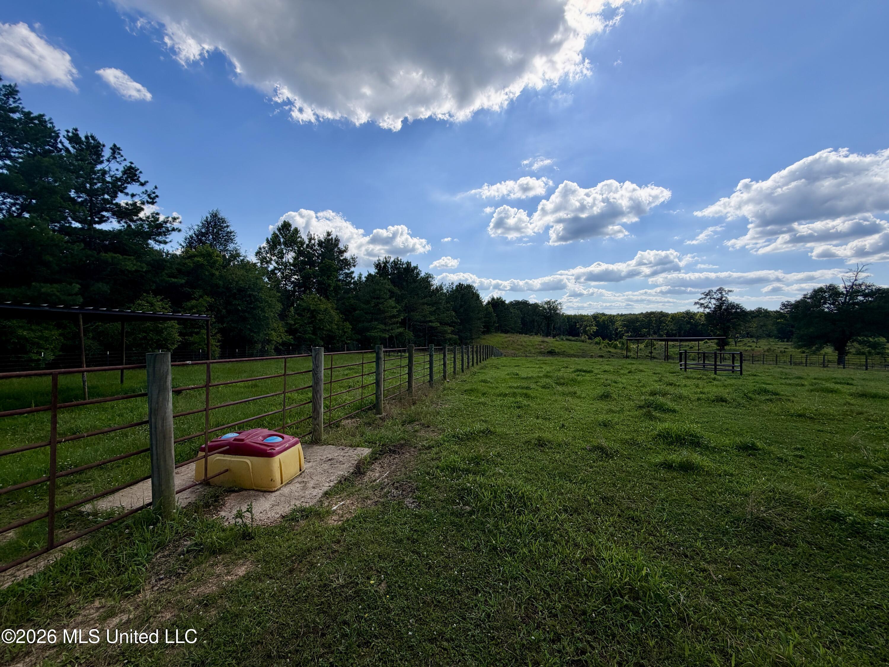 1071 Williams Road Wesson, MS 39191 - Photo 12 of 48 IMG_2791