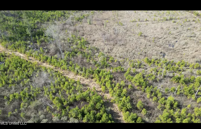 $395,000 | 1 Highway 19, Philadelphia, MS 39350