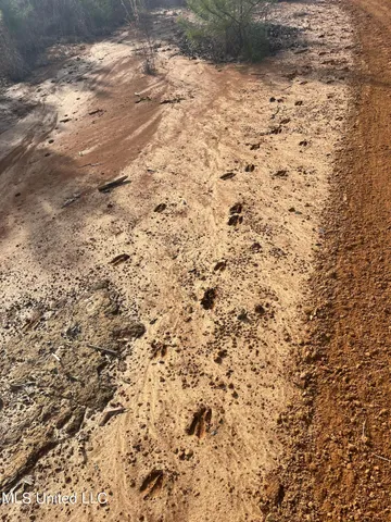 $395,000 | 1 Highway 19, Philadelphia, MS 39350