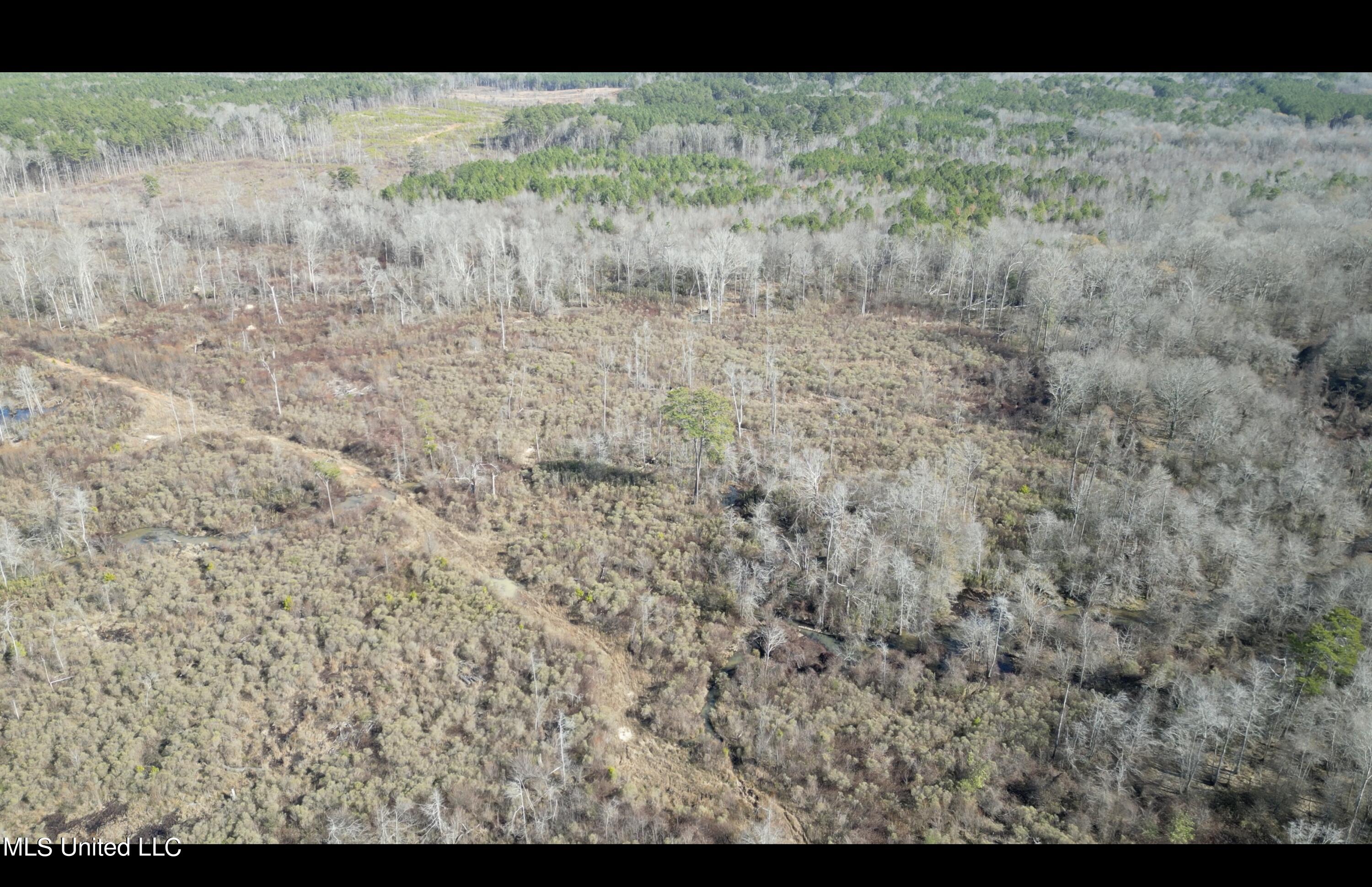 1 Highway 19 Philadelphia, MS 39350 - Photo 15 of 26 Screenshot 2023-12-28 at 12.45.17 PM