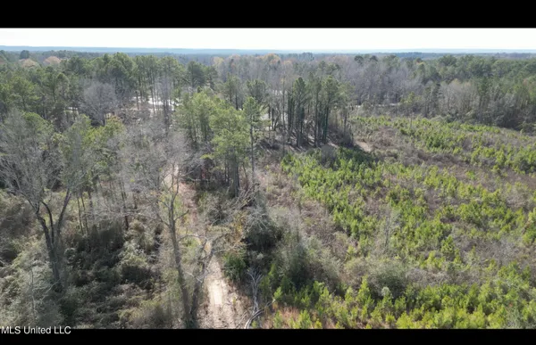 $395,000 | 1 Highway 19, Philadelphia, MS 39350