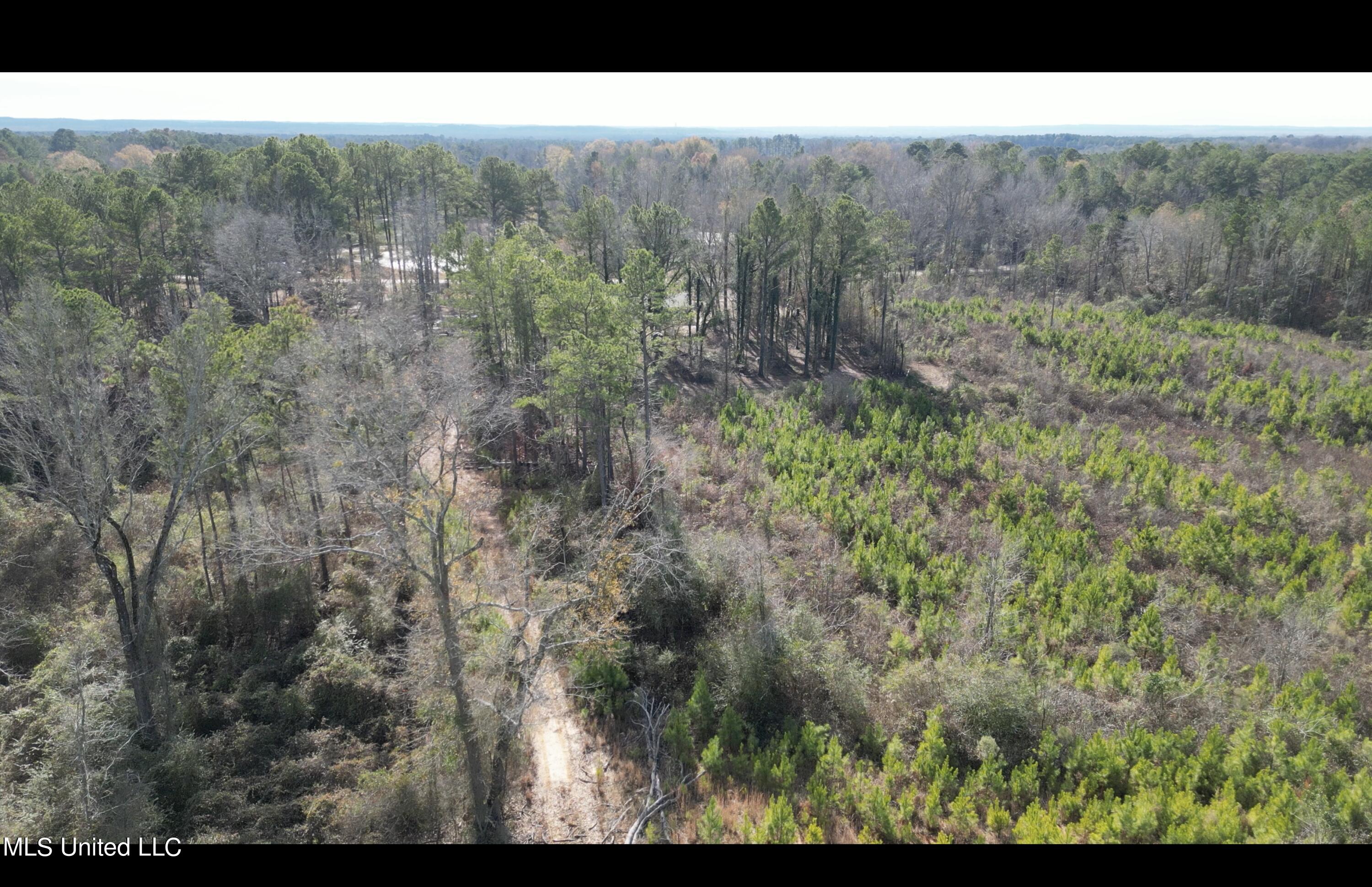 1 Highway 19 Philadelphia, MS 39350 - Photo 16 of 26 Screenshot 2023-12-28 at 12.42.58 PM
