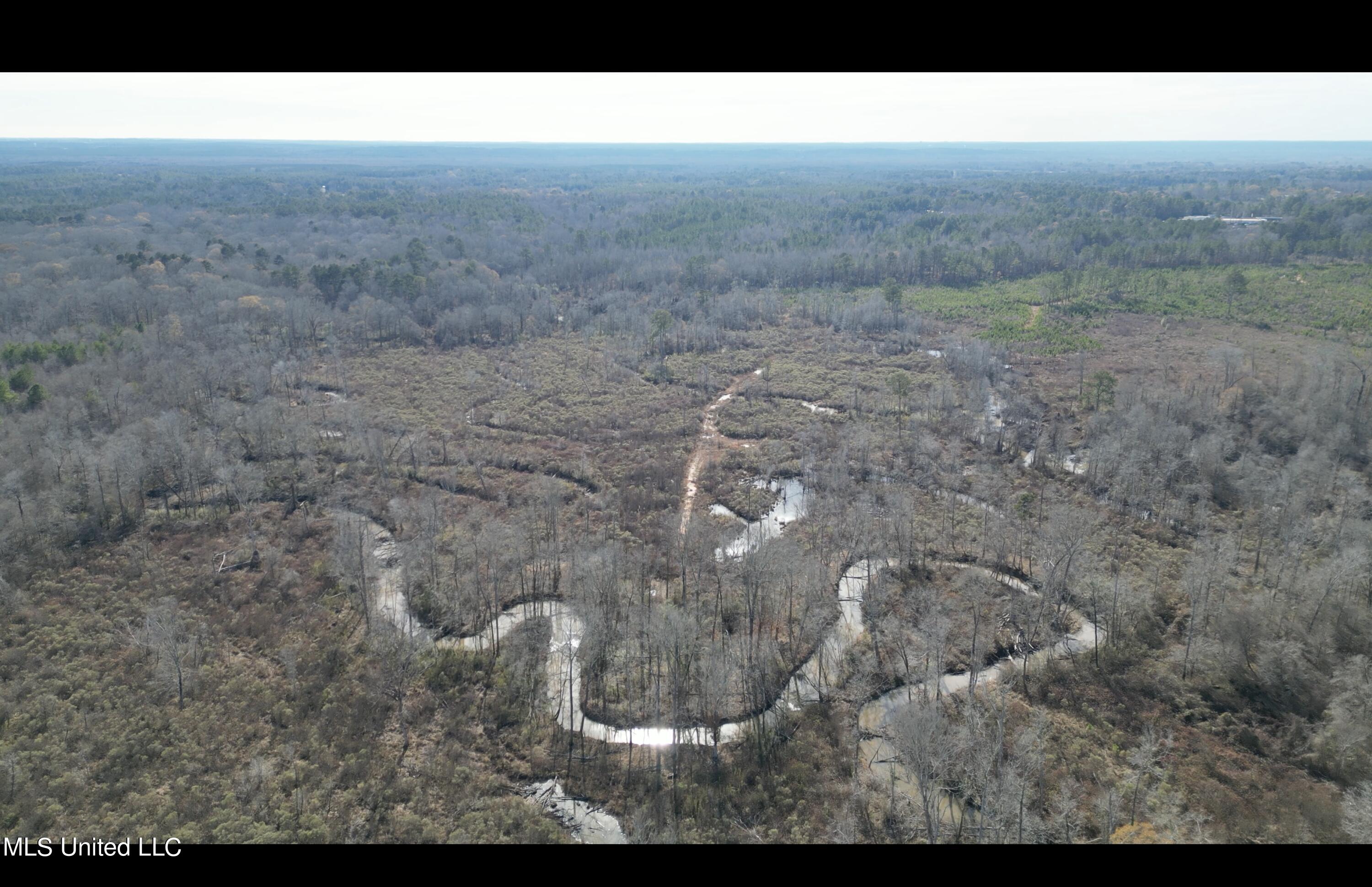 1 Highway 19 Philadelphia, MS 39350 - Photo 17 of 26 Screenshot 2023-12-28 at 12.46.31 PM
