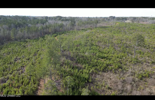 $395,000 | 1 Highway 19, Philadelphia, MS 39350