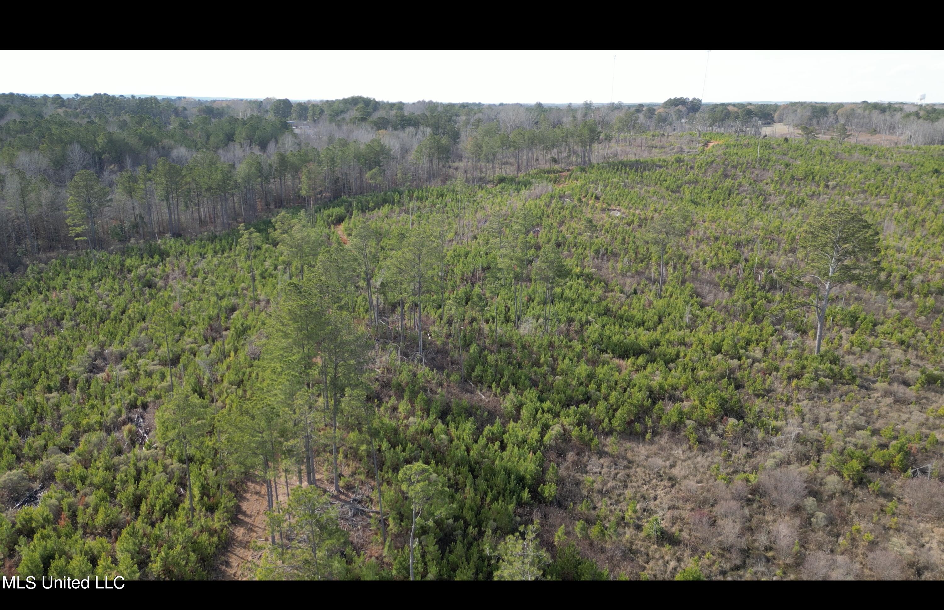 1 Highway 19 Philadelphia, MS 39350 - Photo 18 of 26 Screenshot 2023-12-28 at 12.39.15 PM