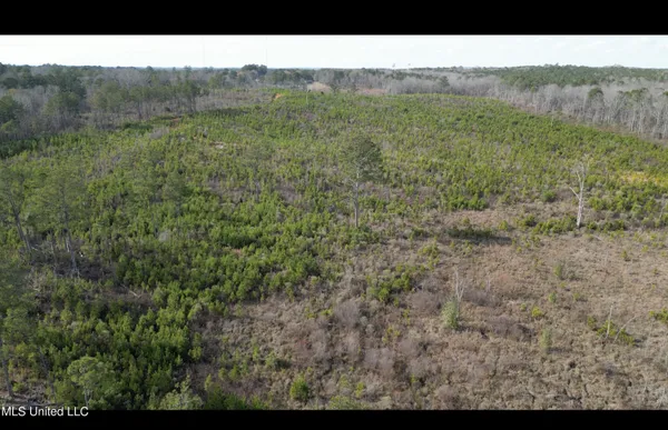 $395,000 | 1 Highway 19, Philadelphia, MS 39350