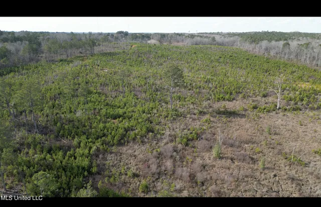 $395,000 | 1 Highway 19, Philadelphia, MS 39350