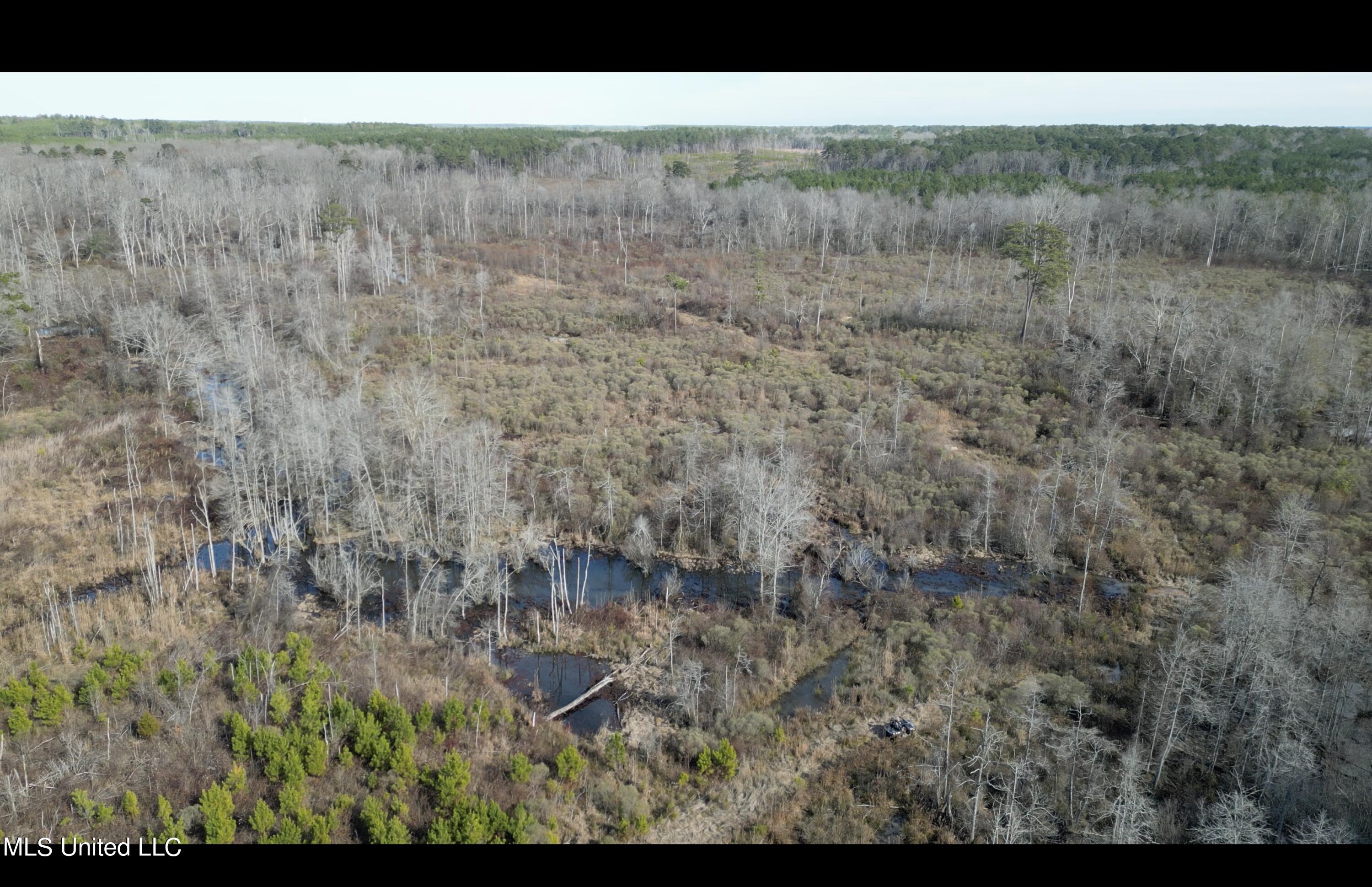 1 Highway 19 Philadelphia, MS 39350 - Photo 20 of 26 Screenshot 2023-12-28 at 12.39.58 PM