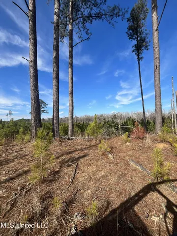 $395,000 | 1 Highway 19, Philadelphia, MS 39350