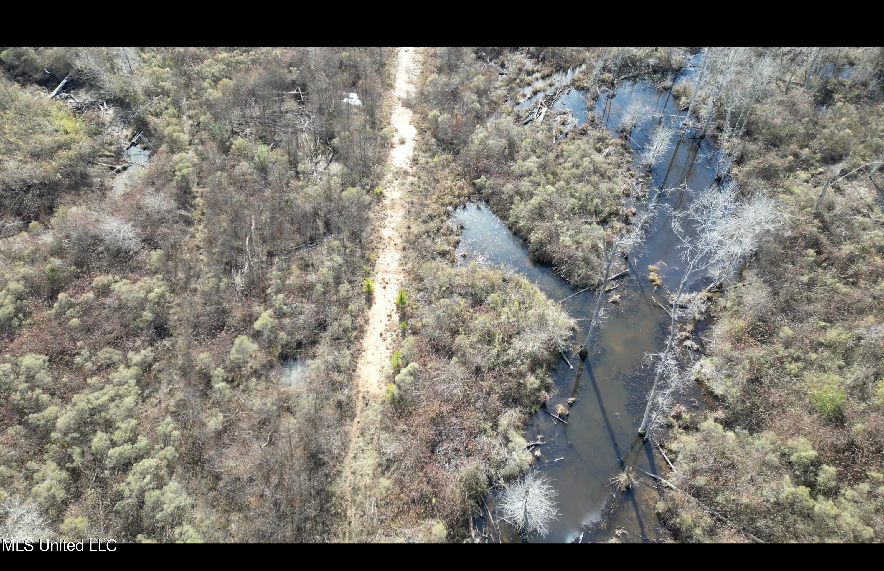 1 Highway 19 Philadelphia, MS 39350 - Photo 21 of 26 Screenshot 2023-12-28 at 12.37.02 PM