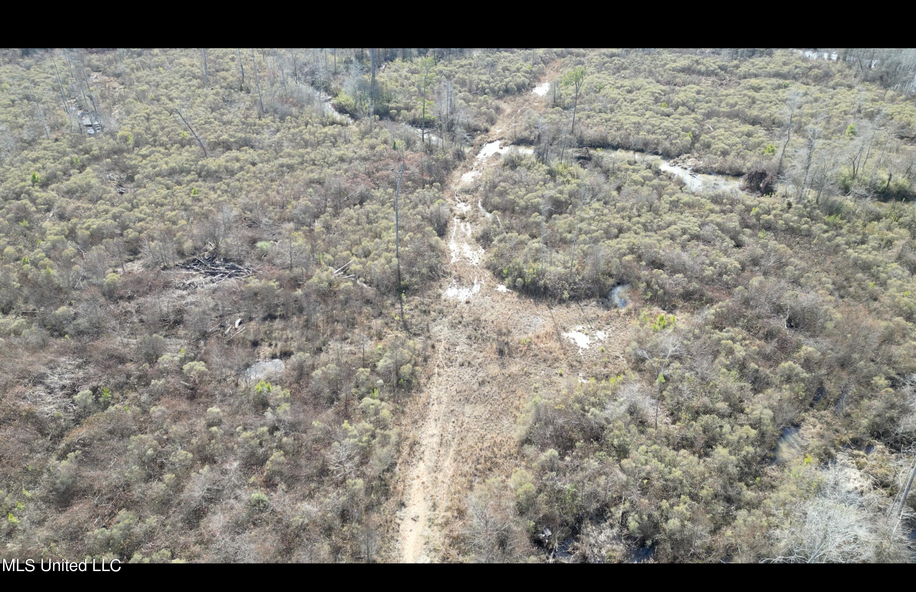 1 Highway 19 Philadelphia, MS 39350 - Photo 22 of 26 Screenshot 2023-12-28 at 12.37.26 PM