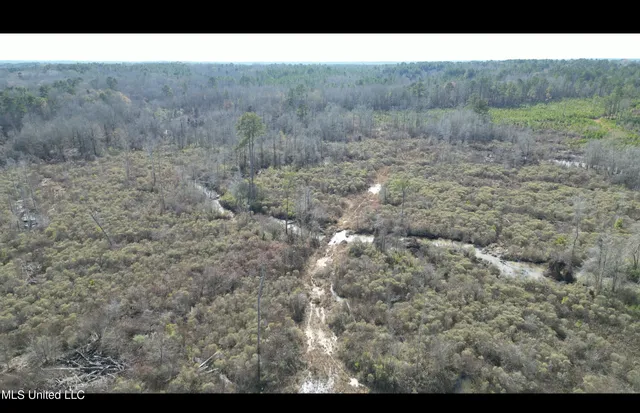 $395,000 | 1 Highway 19, Philadelphia, MS 39350