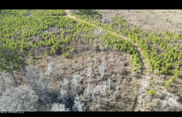 $395,000 | 1 Highway 19, Philadelphia, MS 39350