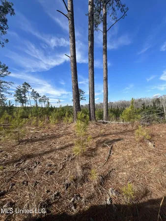 $395,000 | 1 Highway 19, Philadelphia, MS 39350