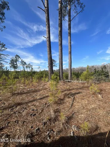 $395,000 | 1 Highway 19, Philadelphia, MS 39350