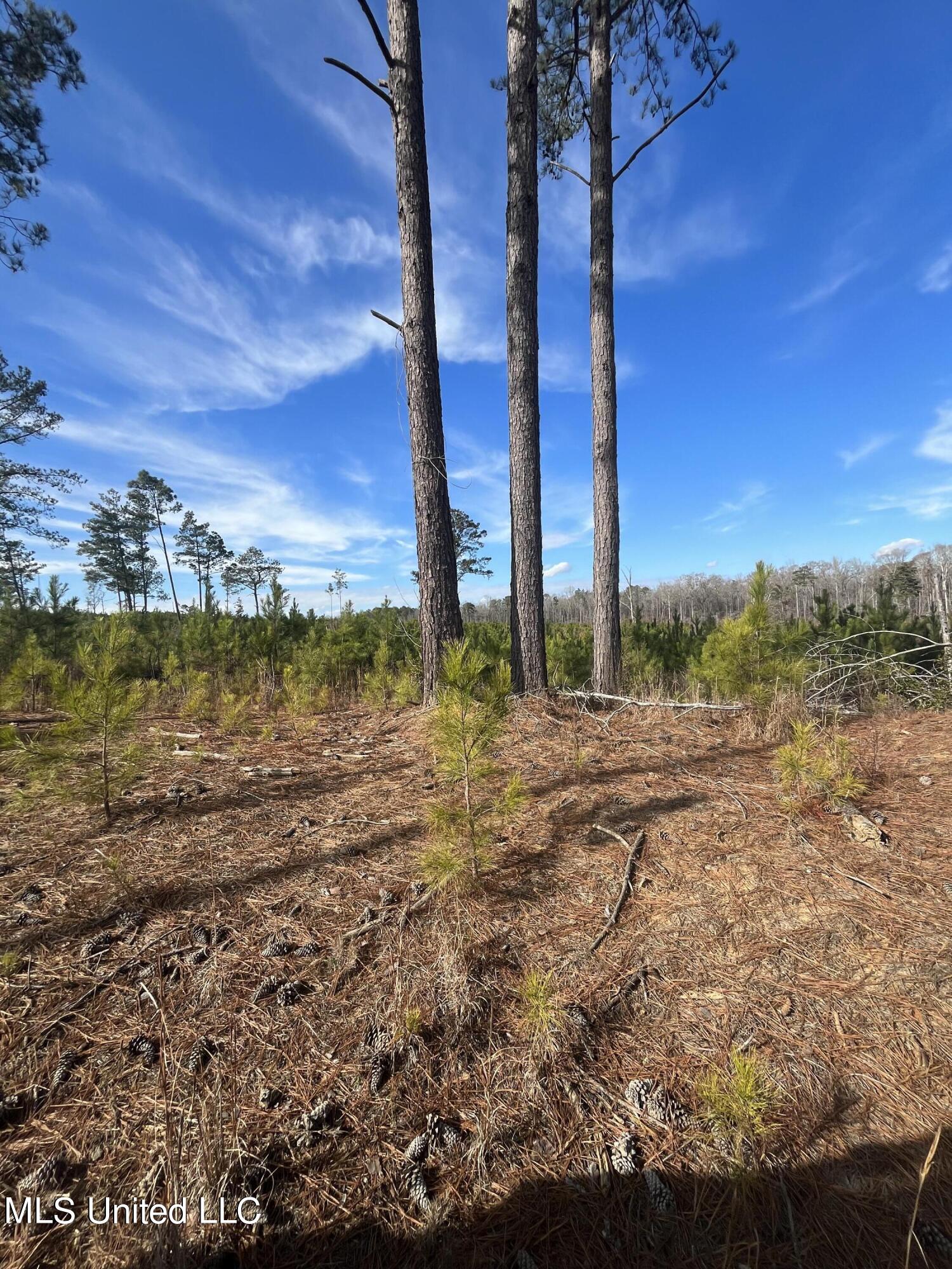 1 Highway 19 Philadelphia, MS 39350 - Photo 3 of 26 IMG_7899