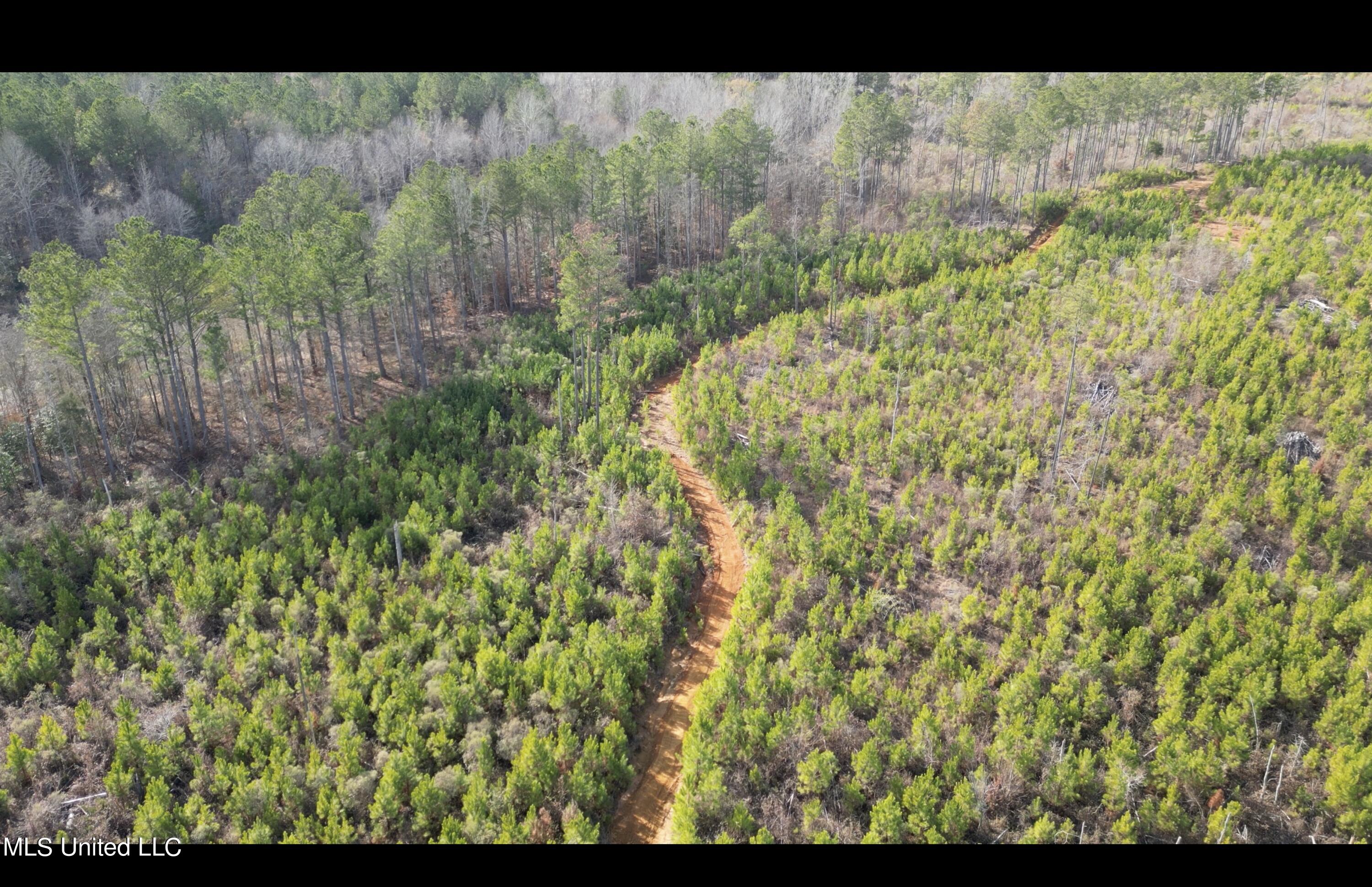 1 Highway 19 Philadelphia, MS 39350 - Photo 4 of 26 Screenshot 2023-12-28 at 12.40.33 PM