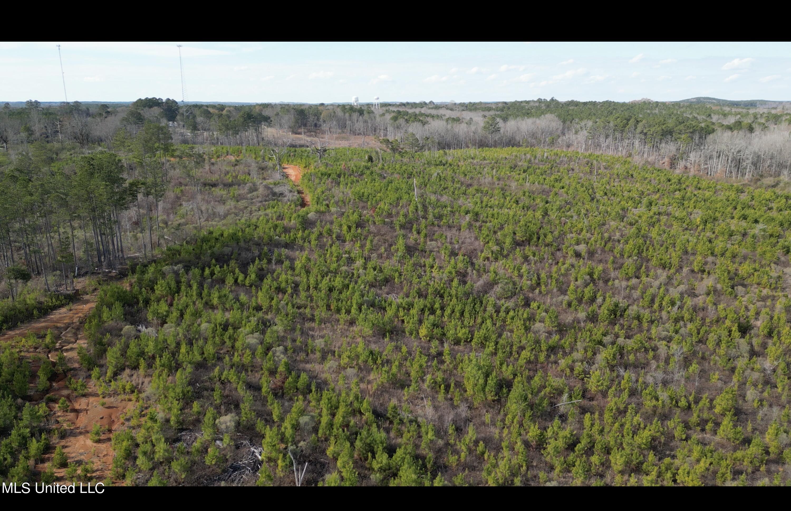 1 Highway 19 Philadelphia, MS 39350 - Photo 6 of 26 Screenshot 2023-12-28 at 12.42.06 PM