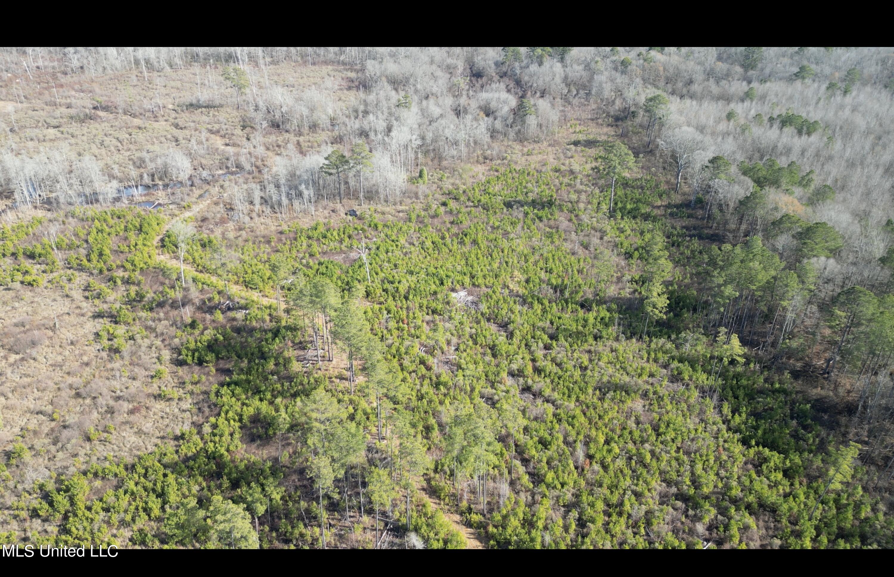 1 Highway 19 Philadelphia, MS 39350 - Photo 10 of 26 Screenshot 2023-12-28 at 12.44.56 PM