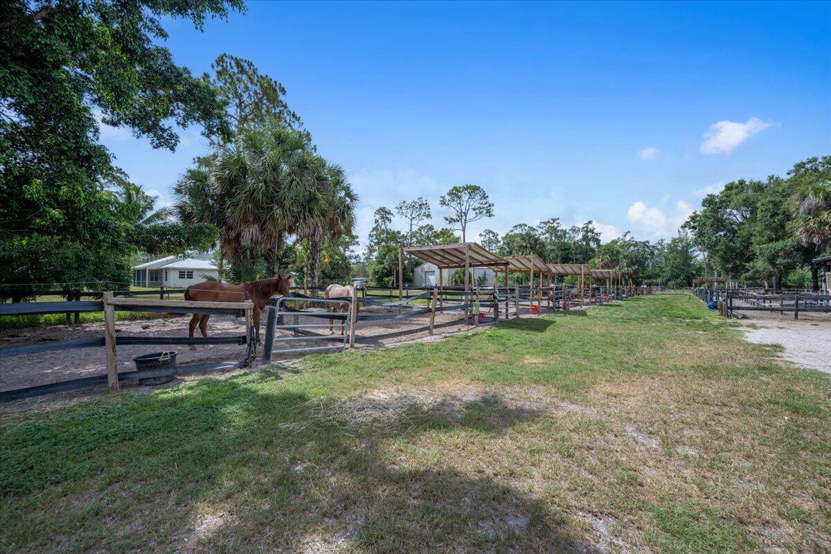 1350 C Road Loxahatchee Groves, FL 33470 - Photo 23 of 27 a view of a chair and table in the garden