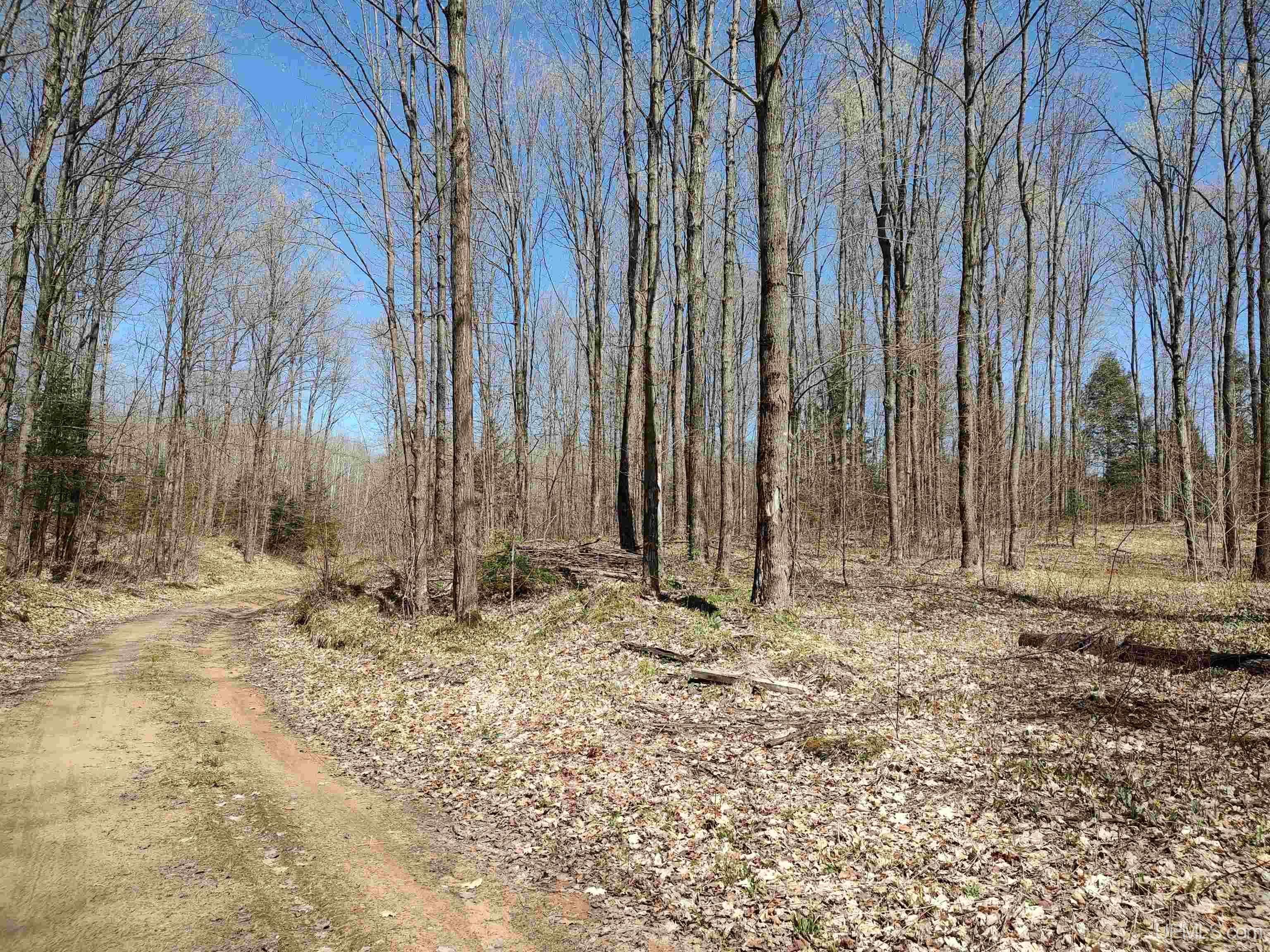 Tbd North Indian Road Lanse, MI 49946 - Photo 5 of 59 Gallery Image 5