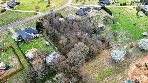 view of a garden with plants