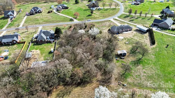 a view of a garden with plants