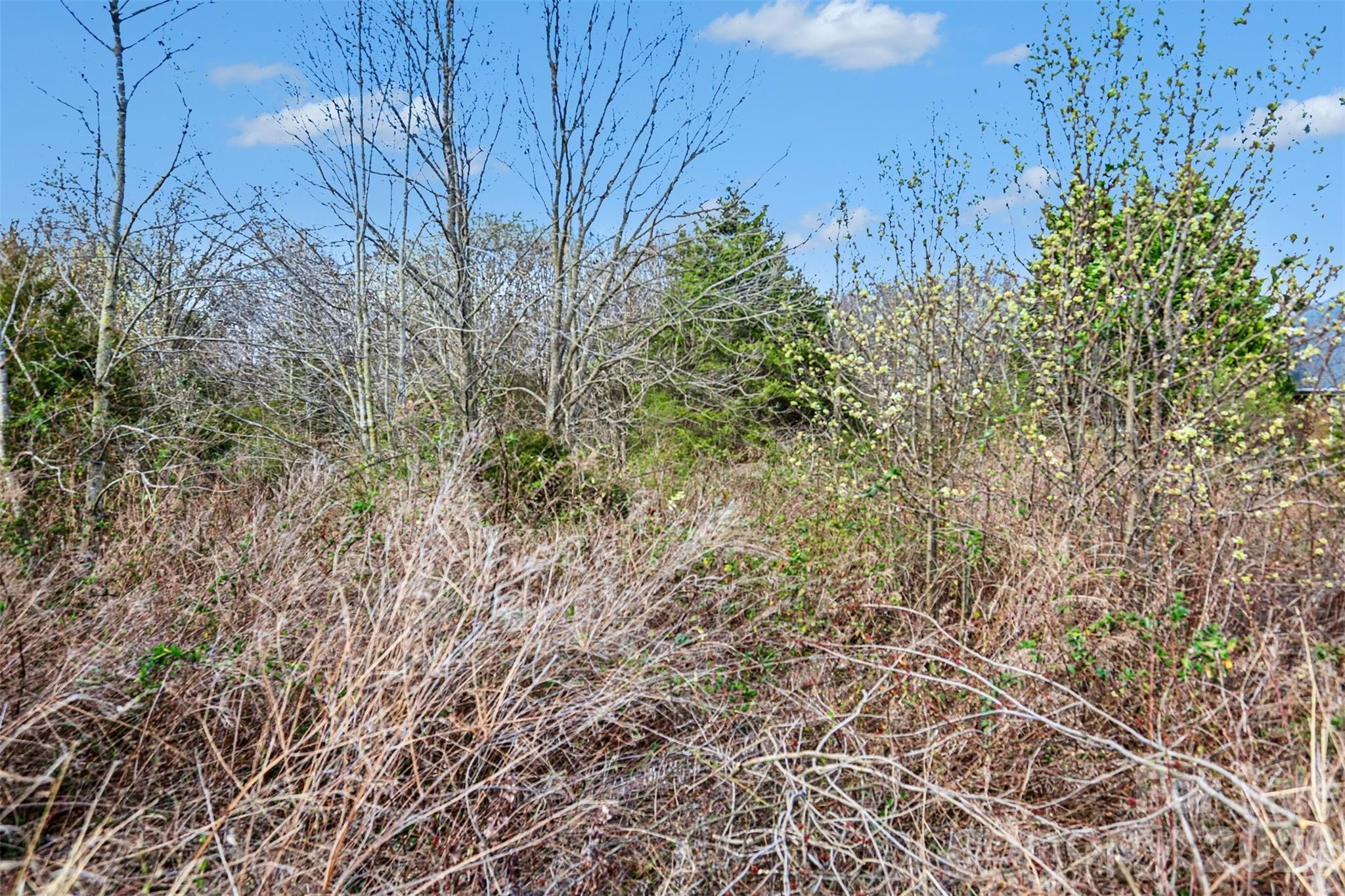 0 Edwards Farm Lane Monroe, NC 28110 - Photo 4 of 24 a view of a yard