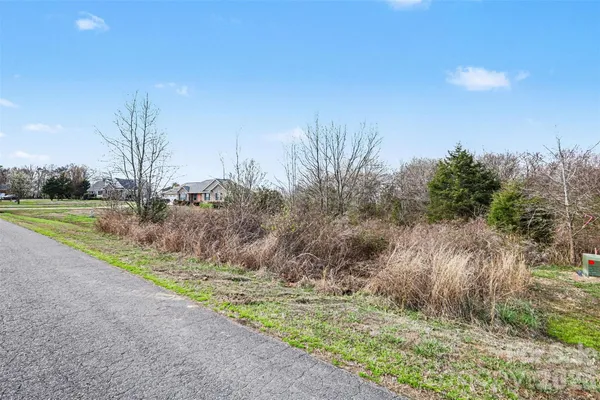 a view of a yard with an trees
