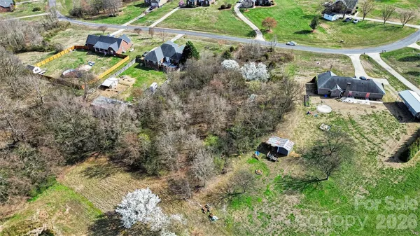 a close up of a plant