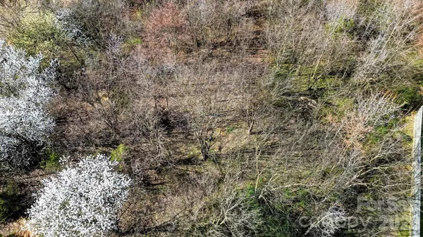 a view of a forest with a house