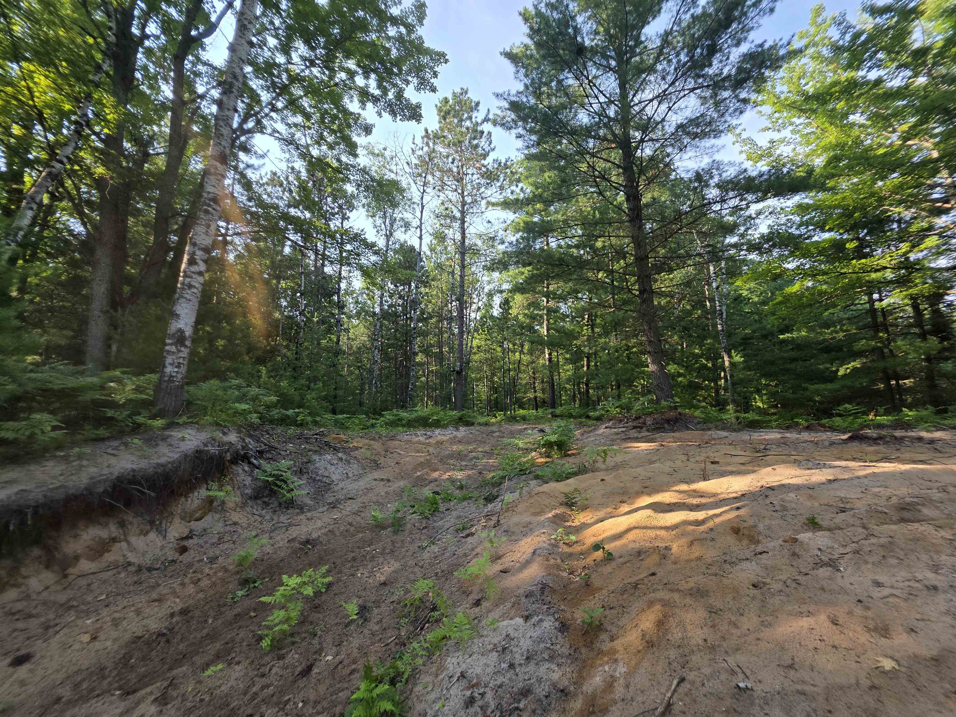 0 Arnold Road Manton, MI 49663 - Photo 47 of 63