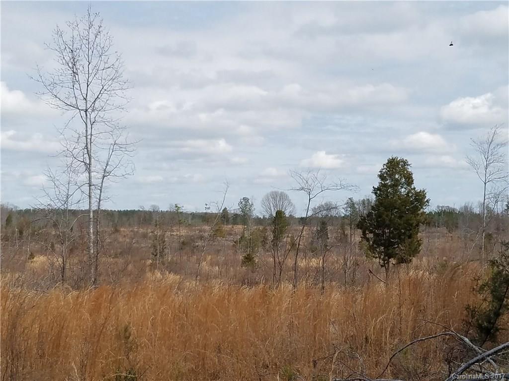 ??? Wellridge Road Chester, SC 29706 - Photo 2 of 23 Gallery Image 2