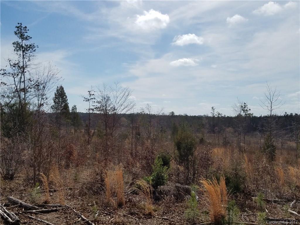 ??? Wellridge Road Chester, SC 29706 - Photo 12 of 23 Gallery Image 12