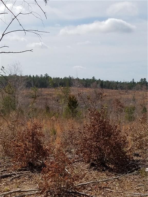 ??? Wellridge Road Chester, SC 29706 - Photo 13 of 23 Gallery Image 13