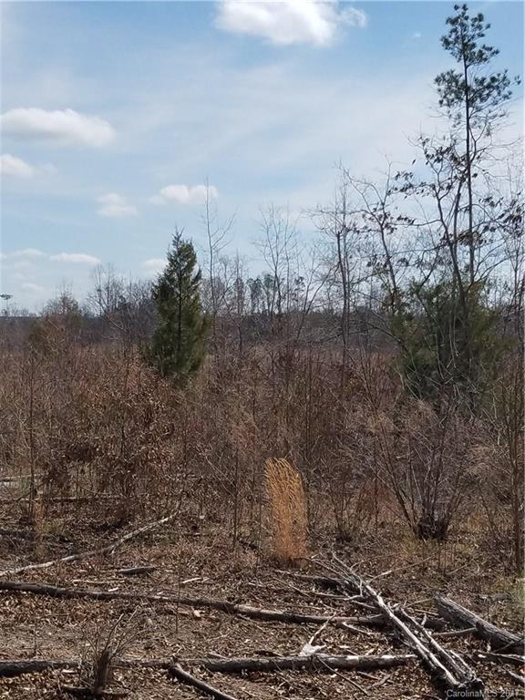 ??? Wellridge Road Chester, SC 29706 - Photo 14 of 23 Gallery Image 14