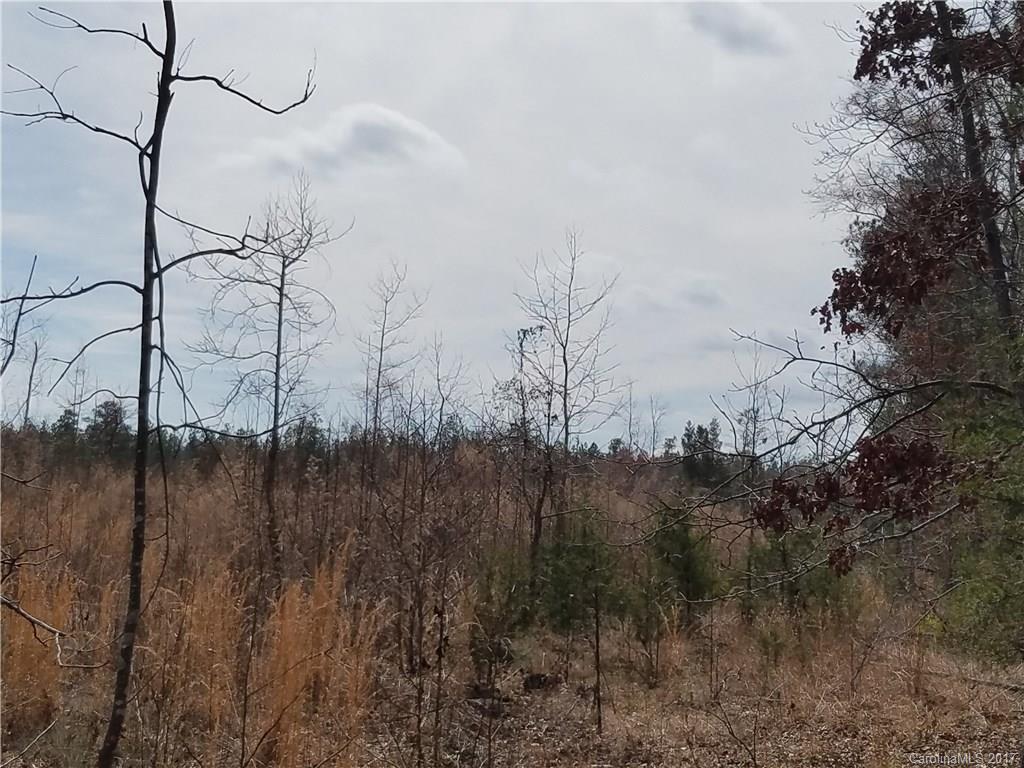 ??? Wellridge Road Chester, SC 29706 - Photo 15 of 23 Gallery Image 15