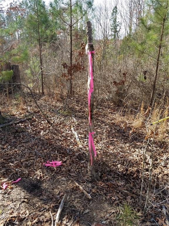 ??? Wellridge Road Chester, SC 29706 - Photo 16 of 23 Gallery Image 16