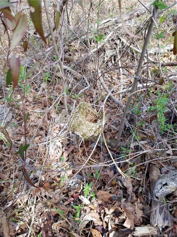 ??? Wellridge Road Chester, SC 29706 - Photo 18 of 23 Gallery Image 18