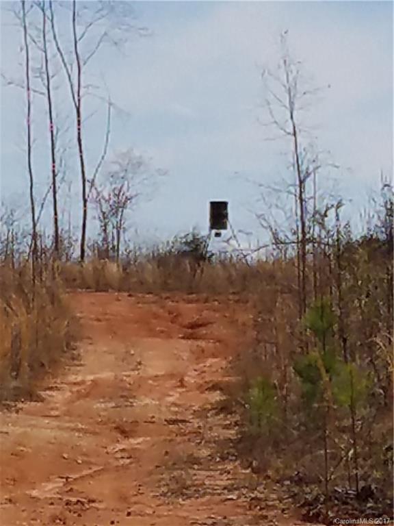 ??? Wellridge Road Chester, SC 29706 - Photo 19 of 23 Gallery Image 19